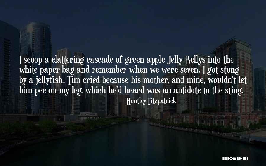 Funny Bag Quotes By Huntley Fitzpatrick Funny Bag Quotes By Huntley Fitzpatrick