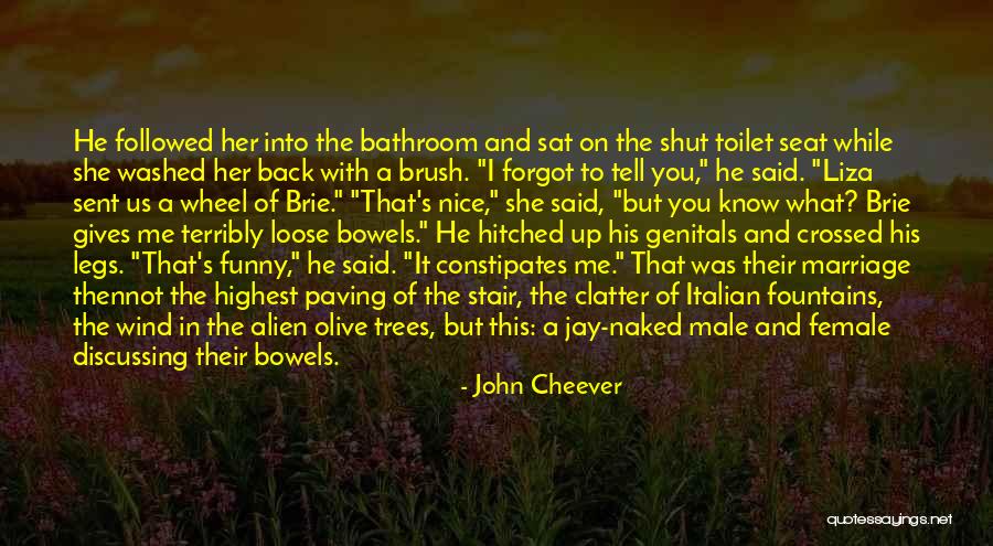 Funny Bathroom Quotes By John Cheever