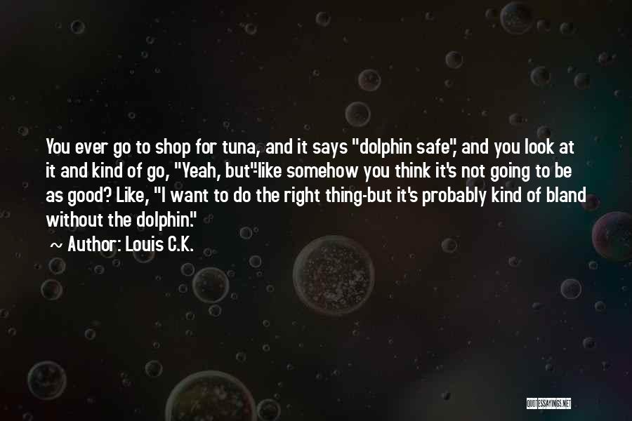 Funny Be Safe Quotes By Louis C.K.