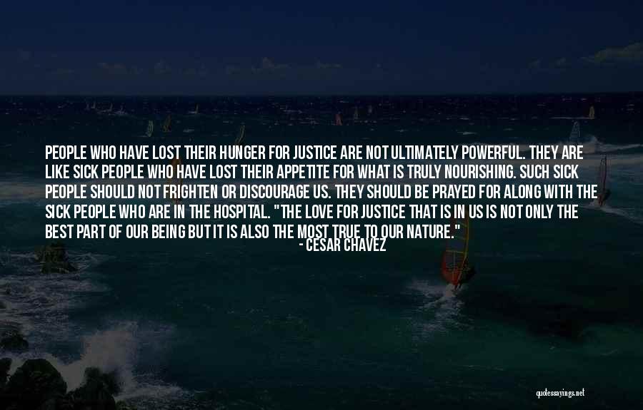 Funny Bearded Dragon Quotes By Cesar Chavez Funny Bearded Dragon Quotes By Cesar Chavez