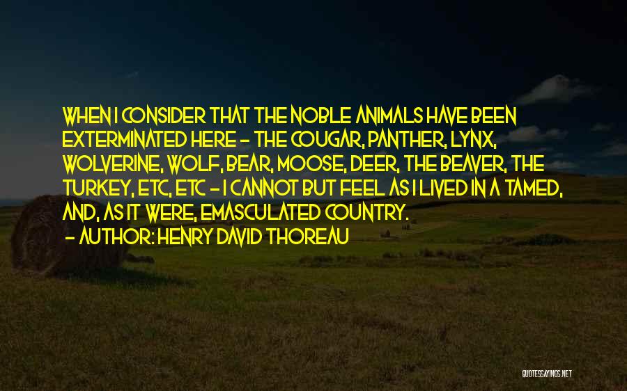 Funny Beaver Quotes By Henry David Thoreau