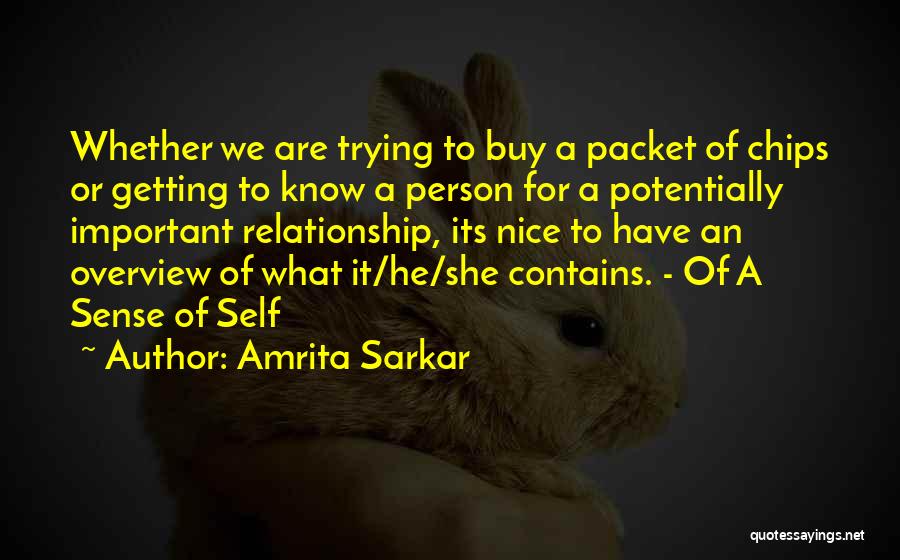 Funny Best Buy Quotes By Amrita Sarkar