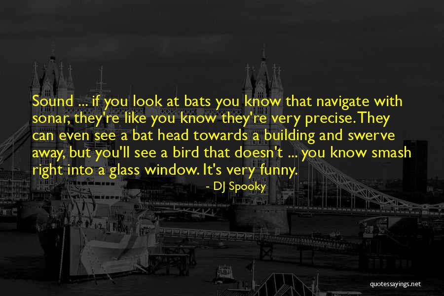 Funny Bird Quotes By DJ Spooky Funny Bird Quotes By DJ Spooky