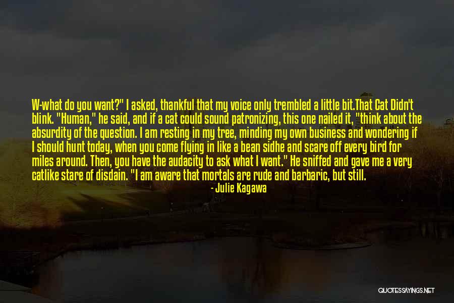 Funny Bird Quotes By Julie Kagawa Funny Bird Quotes By Julie Kagawa
