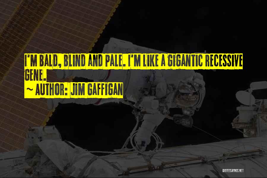 Funny Blind Quotes By Jim Gaffigan