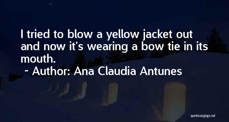 Funny Blow Up Quotes By Ana Claudia Antunes