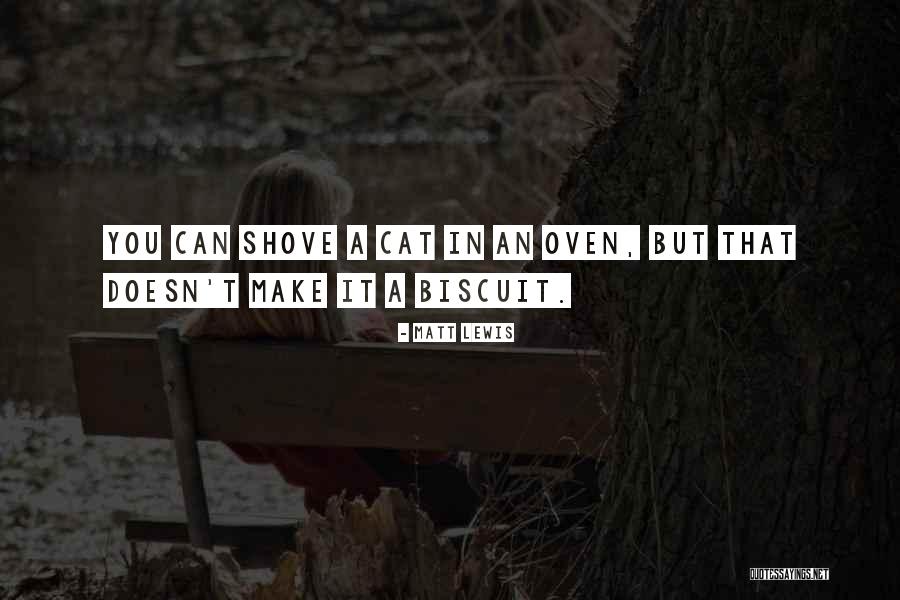Funny Bodyguard Quotes By Matt Lewis Funny Bodyguard Quotes By Matt Lewis