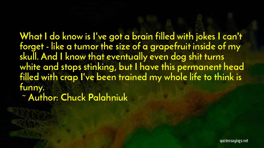 Funny Brain Tumor Quotes By Chuck Palahniuk