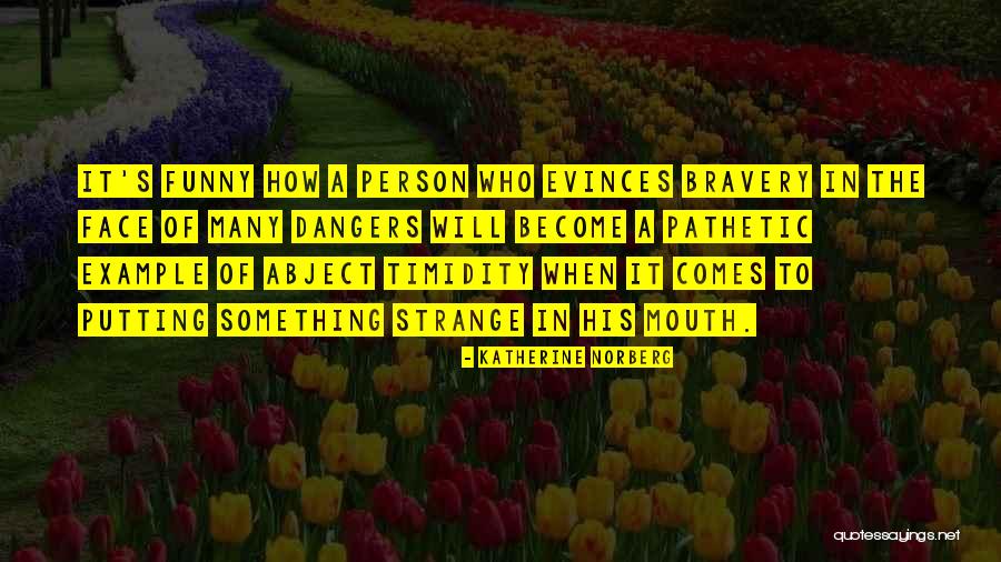 Funny Bravery Quotes By Katherine Norberg Funny Bravery Quotes By Katherine Norberg