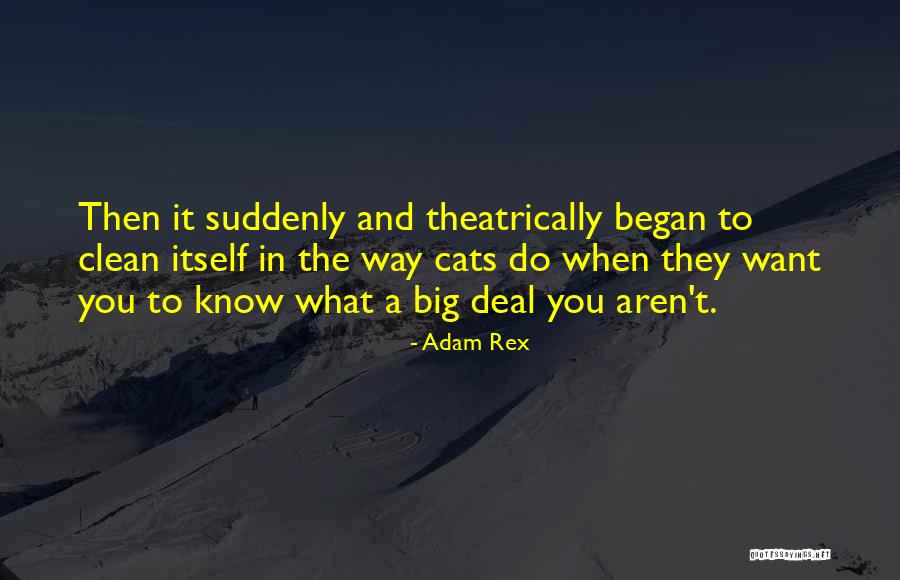 Funny But Clean Quotes By Adam Rex Funny But Clean Quotes By Adam Rex
