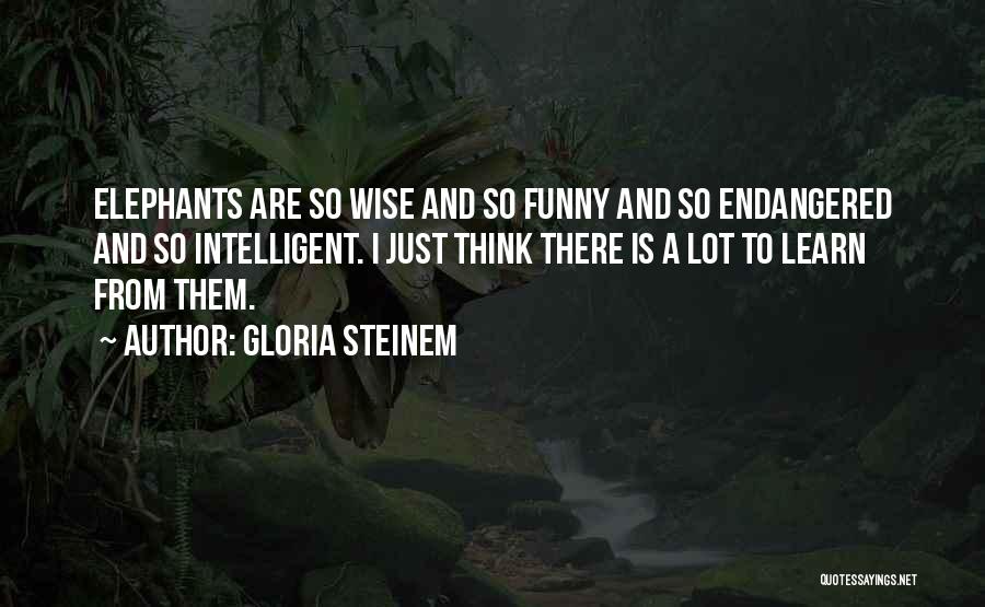 Funny But Intelligent Quotes By Gloria Steinem