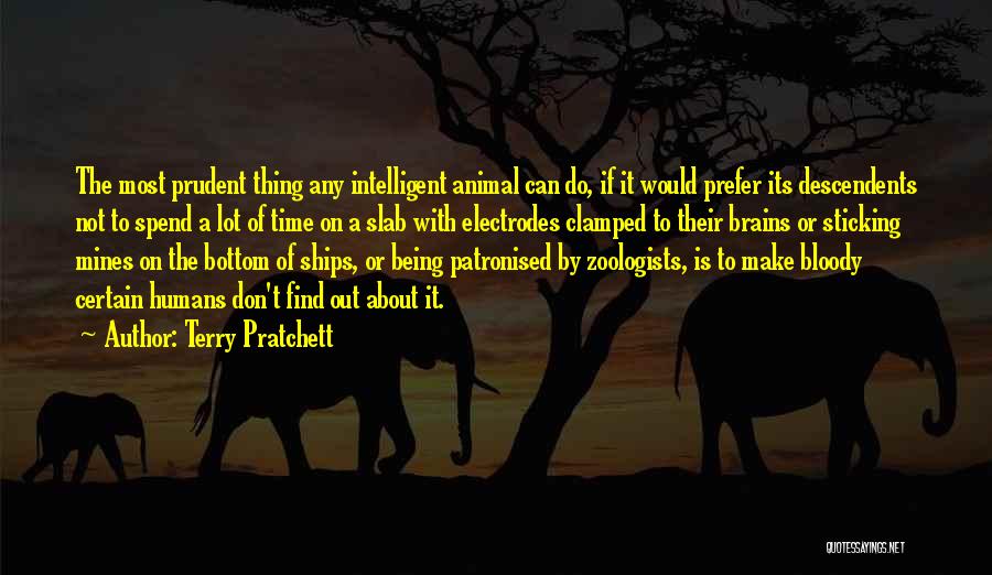 Funny But Intelligent Quotes By Terry Pratchett