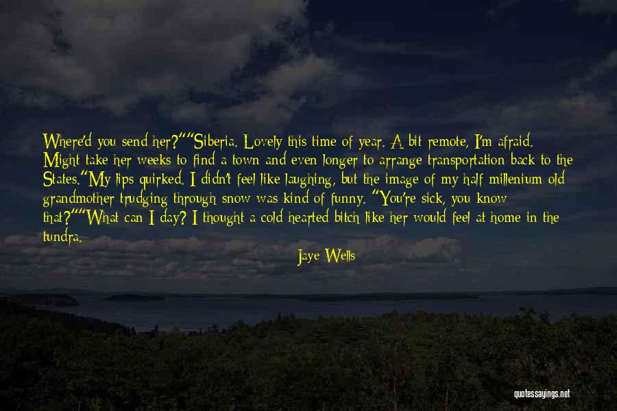 Funny But Lovely Quotes By Jaye Wells Funny But Lovely Quotes By Jaye Wells