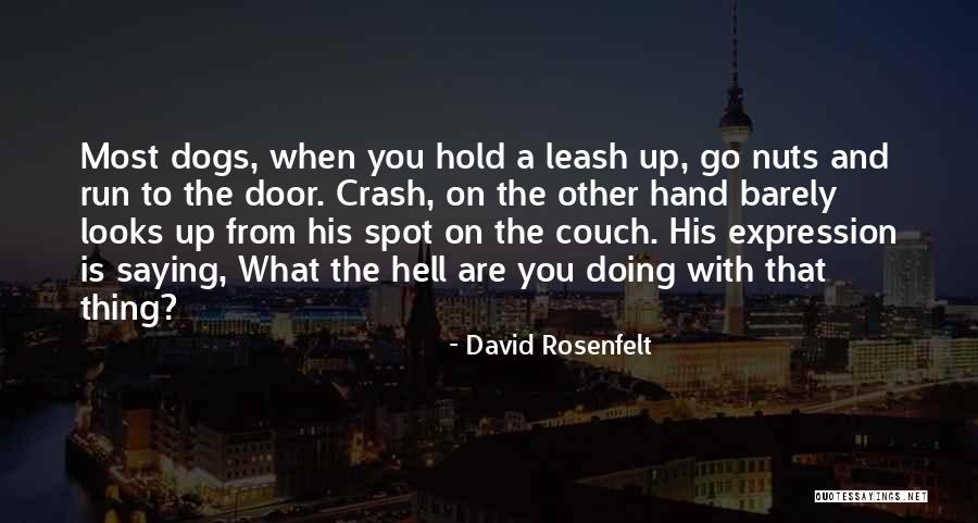 Funny Caillou Quotes By David Rosenfelt Funny Caillou Quotes By David Rosenfelt