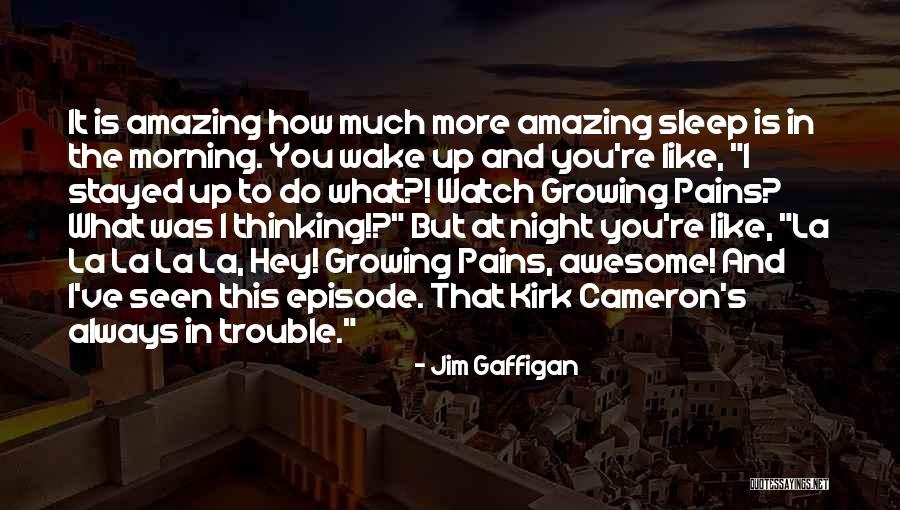 Funny Can't Sleep Quotes By Jim Gaffigan