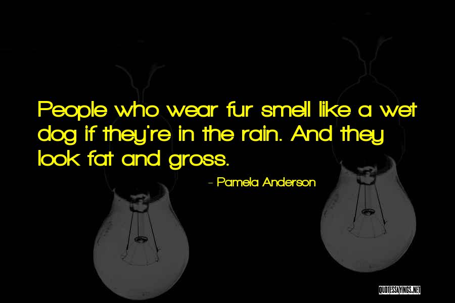 Funny Car Rally Quotes By Pamela Anderson Funny Car Rally Quotes By Pamela Anderson