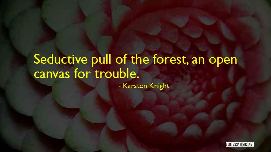 Funny Carpet Cleaning Quotes By Karsten Knight