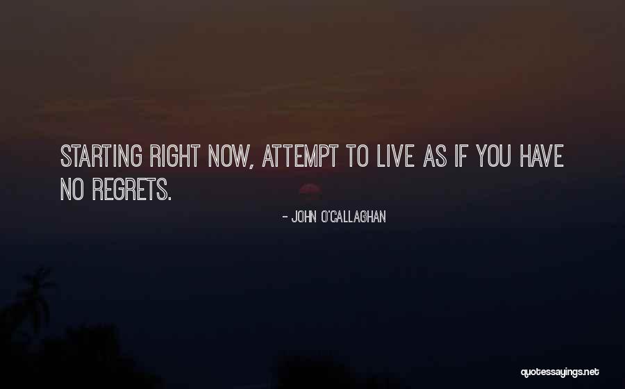 Funny Carrots Quotes By John O'Callaghan