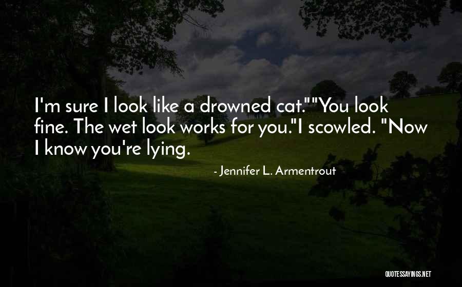 Funny Cat Quotes By Jennifer L. Armentrout Funny Cat Quotes By Jennifer L. Armentrout