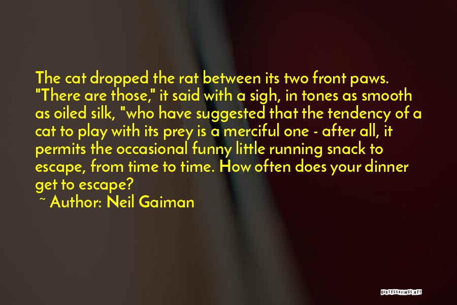 Funny Cats Quotes By Neil Gaiman