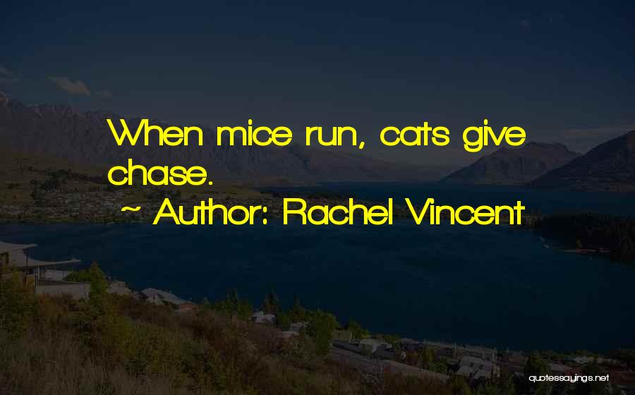 Funny Cats Quotes By Rachel Vincent