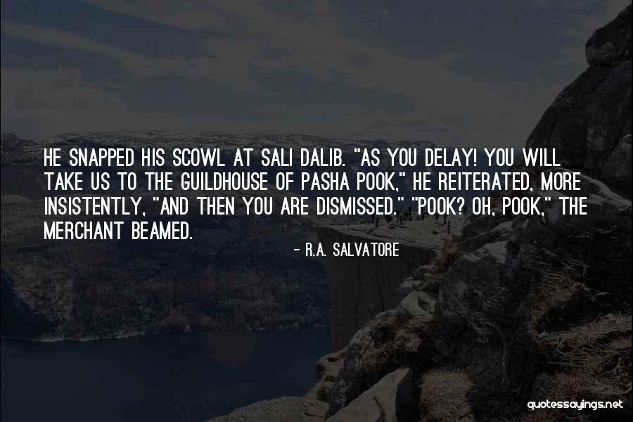 Funny Chemtrail Quotes By R.A. Salvatore Funny Chemtrail Quotes By R.A. Salvatore