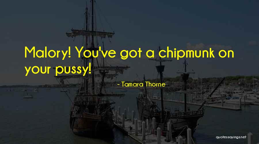 Funny Chipmunk Quotes By Tamara Thorne Funny Chipmunk Quotes By Tamara Thorne
