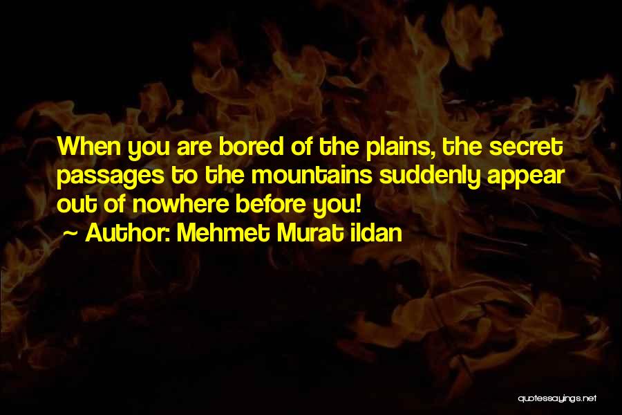 Funny Civil Engineer Quotes By Mehmet Murat Ildan