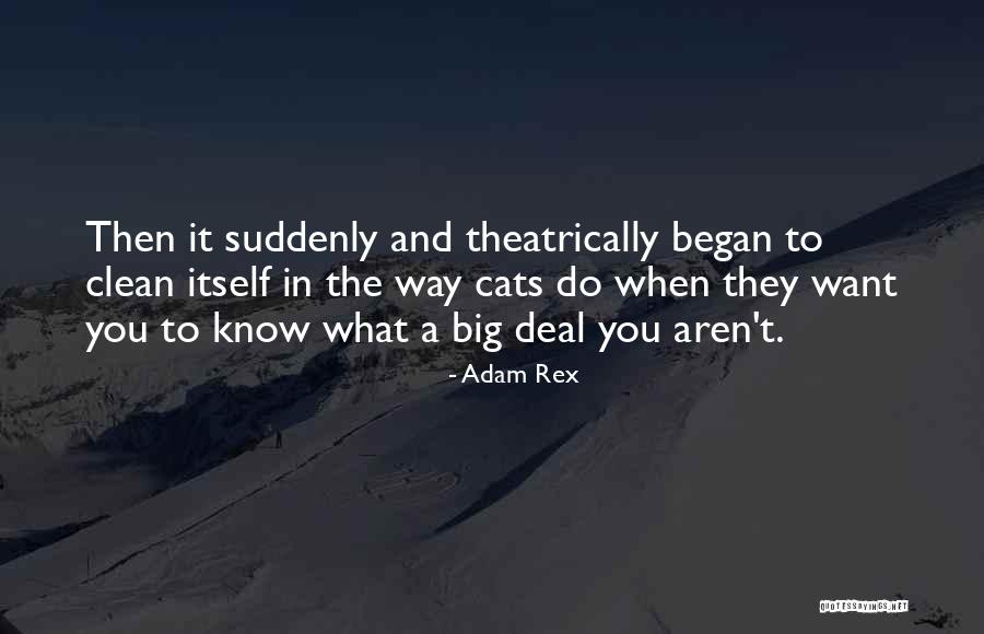 Funny Clean Quotes By Adam Rex Funny Clean Quotes By Adam Rex