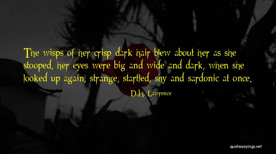 Funny Clerk 2 Quotes By D.H. Lawrence Funny Clerk 2 Quotes By D.H. Lawrence