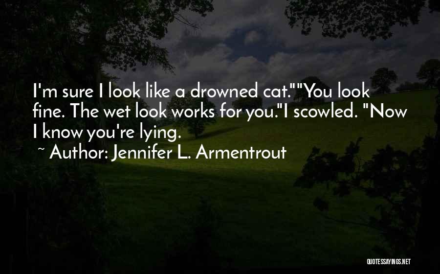 Funny Compliment Quotes By Jennifer L. Armentrout