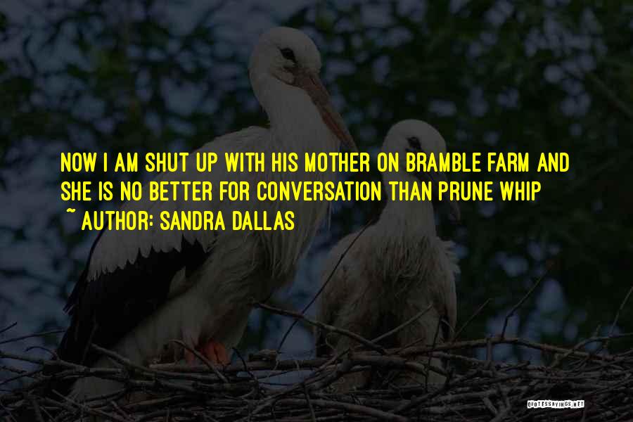 Funny Conversation Quotes By Sandra Dallas