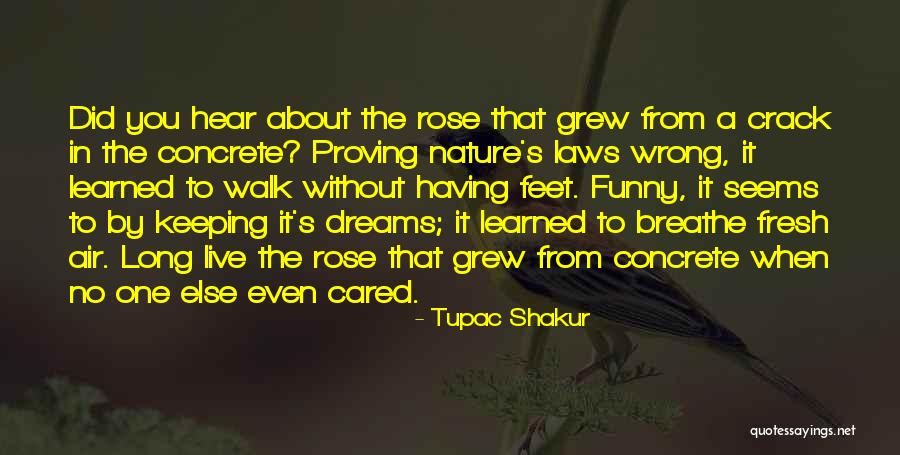 Funny Crack Quotes By Tupac Shakur Funny Crack Quotes By Tupac Shakur