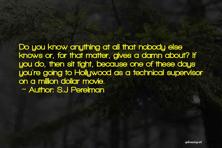 Funny Damn Quotes By S.J Perelman