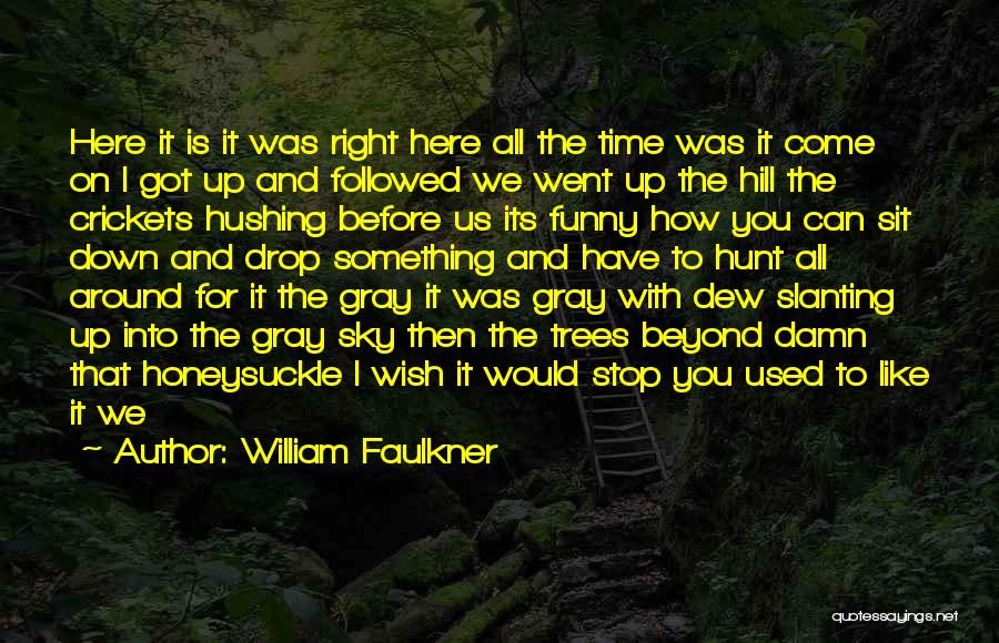 Funny Damn Quotes By William Faulkner