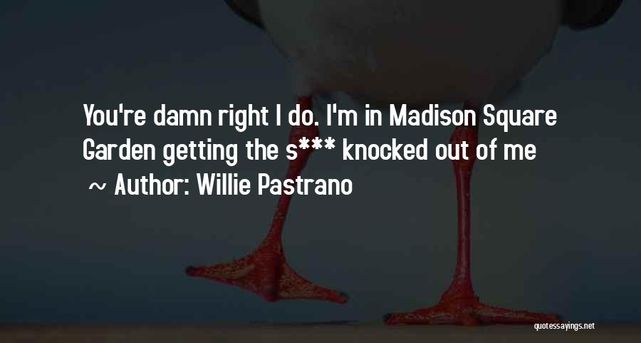 Funny Damn Quotes By Willie Pastrano