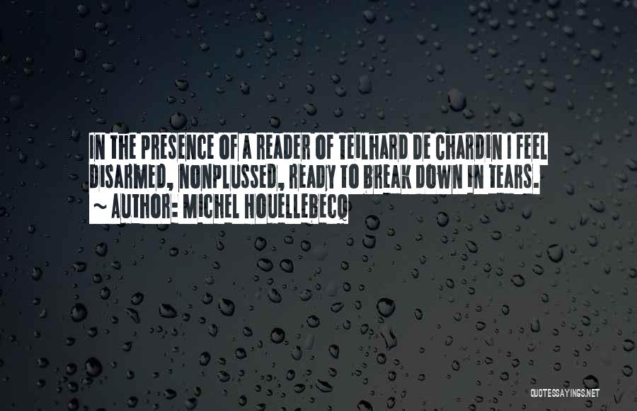 Funny De-stress Quotes By Michel Houellebecq