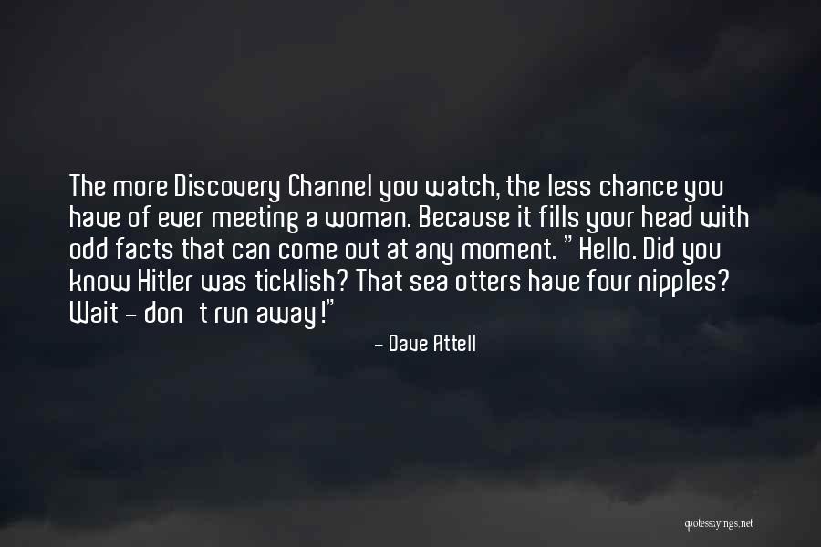 Funny Discovery Channel Quotes By Dave Attell