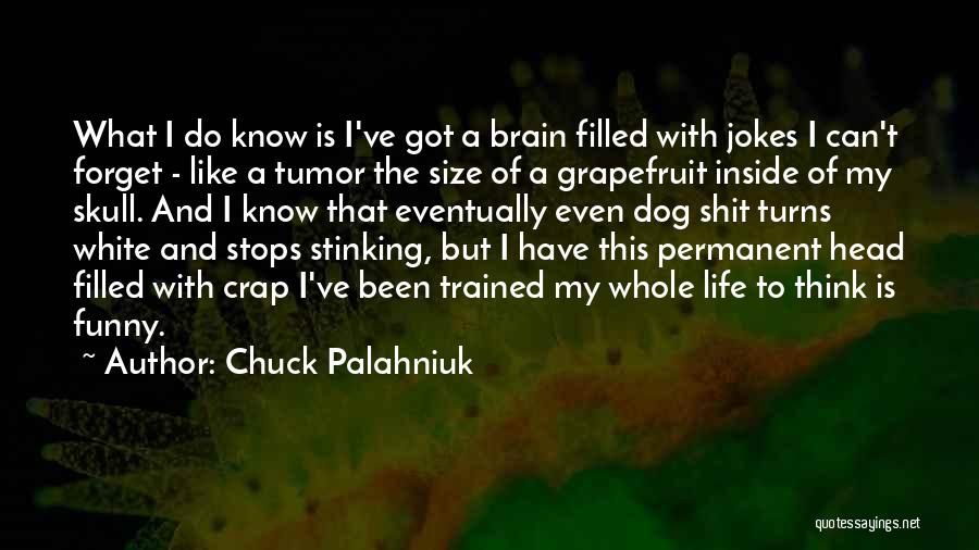 Funny Dog Quotes By Chuck Palahniuk