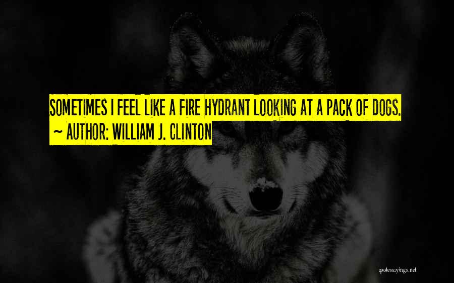 Funny Dog Quotes By William J. Clinton