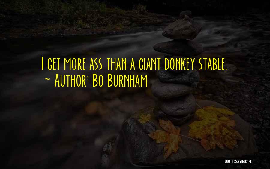 Funny Donkey Quotes By Bo Burnham