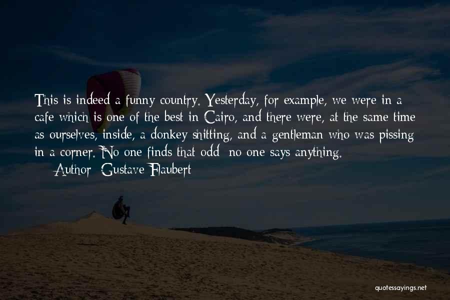 Funny Donkey Quotes By Gustave Flaubert