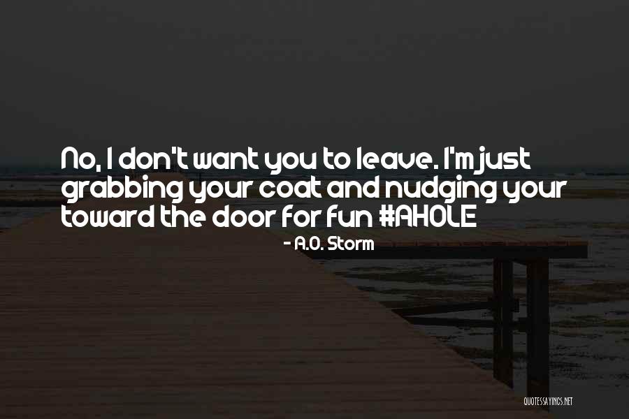 Funny Door Quotes By A.O. Storm Funny Door Quotes By A.O. Storm