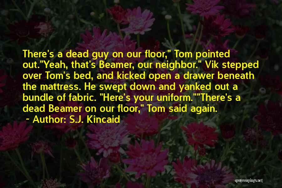 Funny Down And Out Quotes By S.J. Kincaid