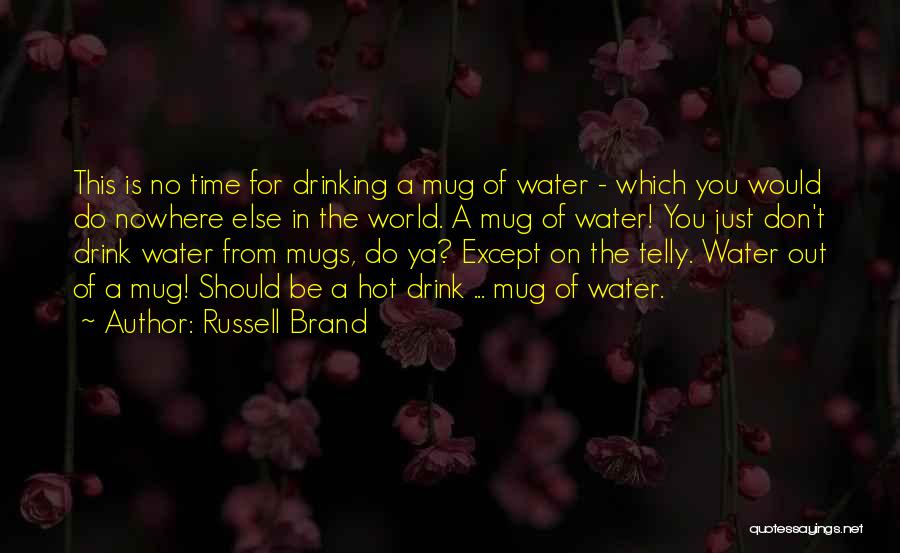 Funny Drinking Quotes By Russell Brand