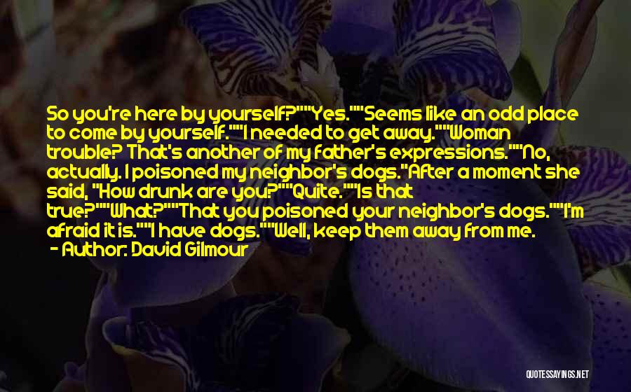 Funny Drunk Quotes By David Gilmour