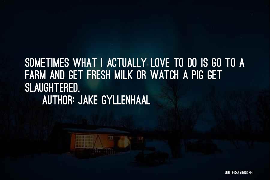 Funny Dumb Love Quotes By Jake Gyllenhaal
