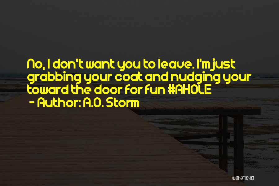 Funny Entertaining Quotes By A.O. Storm