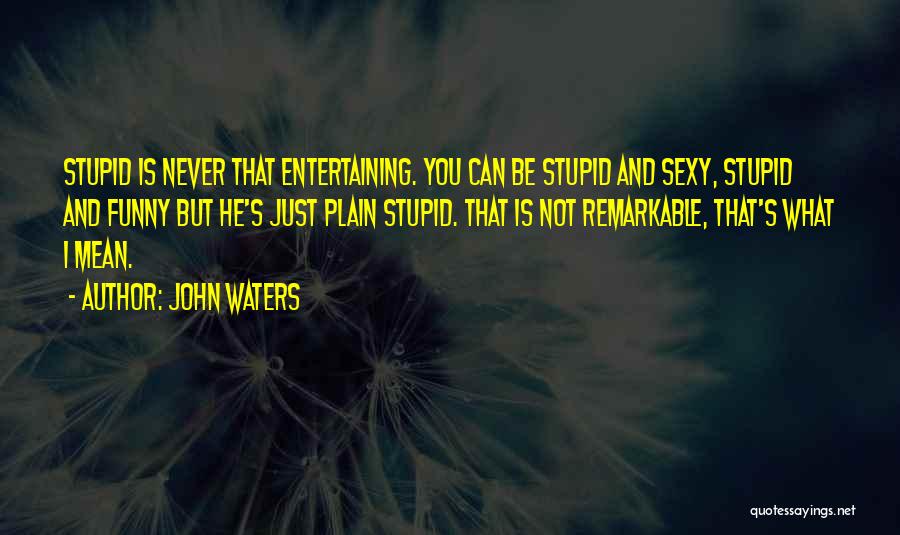 Funny Entertaining Quotes By John Waters