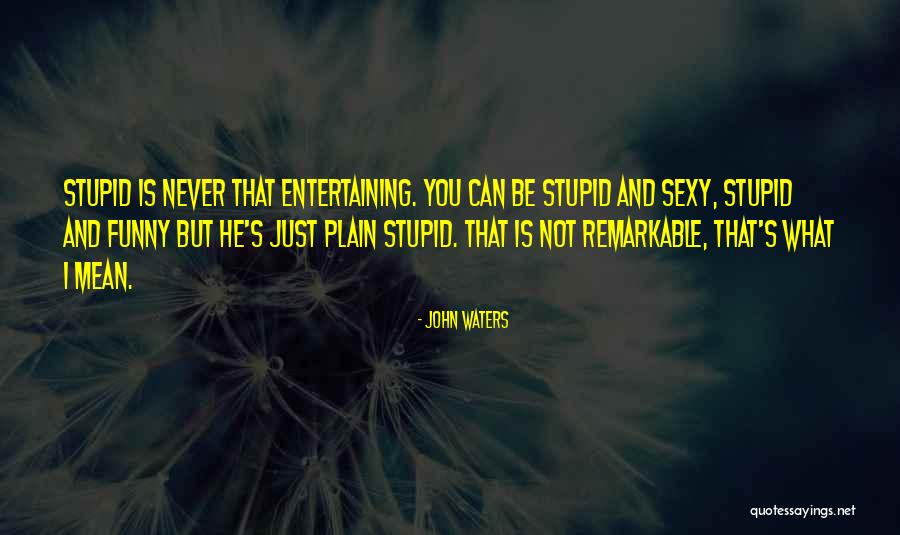 Funny Entertaining Quotes By John Waters